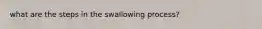 what are the steps in the swallowing process?