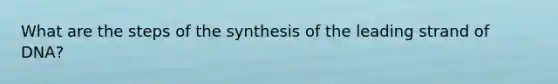 What are the steps of the synthesis of the leading strand of DNA?