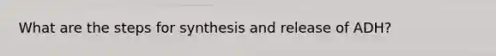 What are the steps for synthesis and release of ADH?