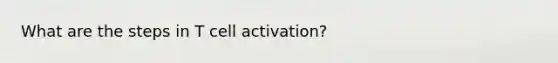 What are the steps in T cell activation?