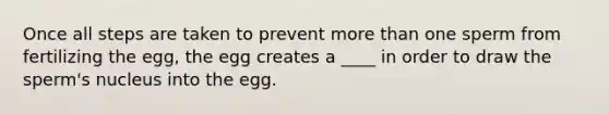 Once all steps are taken to prevent more than one sperm from fertilizing the egg, the egg creates a ____ in order to draw the sperm's nucleus into the egg.