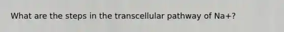 What are the steps in the transcellular pathway of Na+?