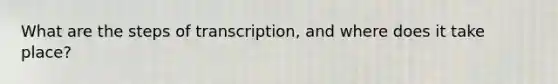 What are the steps of transcription, and where does it take place?