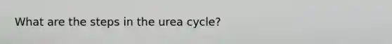 What are the steps in the urea cycle?