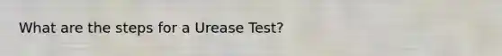 What are the steps for a Urease Test?