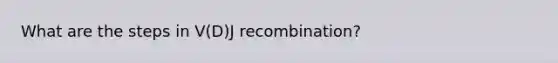 What are the steps in V(D)J recombination?