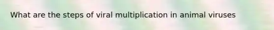 What are the steps of viral multiplication in animal viruses