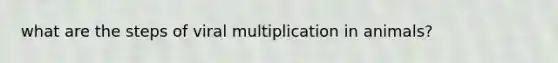 what are the steps of viral multiplication in animals?