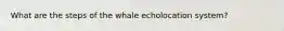 What are the steps of the whale echolocation system?