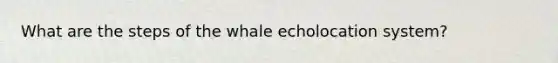 What are the steps of the whale echolocation system?