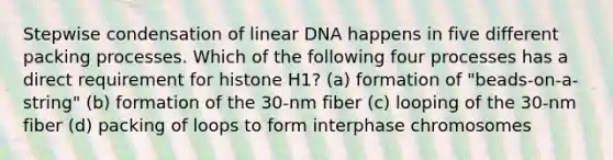 Stepwise condensation of linear DNA happens in five different packing processes. Which of the following four processes has a direct requirement for histone H1? (a) formation of "beads-on-a-string" (b) formation of the 30-nm fiber (c) looping of the 30-nm fiber (d) packing of loops to form interphase chromosomes