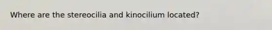 Where are the stereocilia and kinocilium located?