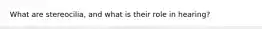 What are stereocilia, and what is their role in hearing?