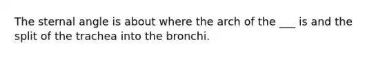 The sternal angle is about where the arch of the ___ is and the split of the trachea into the bronchi.