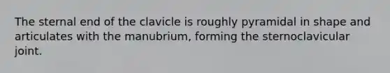 The sternal end of the clavicle is roughly pyramidal in shape and articulates with the manubrium, forming the sternoclavicular joint.