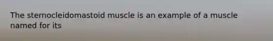 The sternocleidomastoid muscle is an example of a muscle named for its