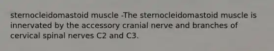 sternocleidomastoid muscle -The sternocleidomastoid muscle is innervated by the accessory cranial nerve and branches of cervical spinal nerves C2 and C3.