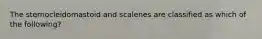 The sternocleidomastoid and scalenes are classified as which of the following?