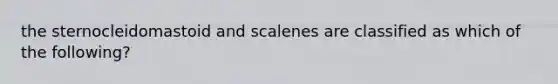 the sternocleidomastoid and scalenes are classified as which of the following?