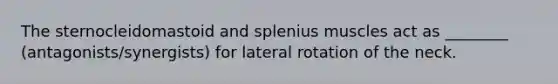 The sternocleidomastoid and splenius muscles act as ________ (antagonists/synergists) for lateral rotation of the neck.