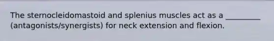 The sternocleidomastoid and splenius muscles act as a _________ (antagonists/synergists) for neck extension and flexion.