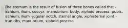 The sternum is the result of fusion of three bones called the: -ischium, ilium, coccyx -manubrium, body, xiphoid process -pubis, ischium, ilium -jugular notch, sternal angle, xiphisternal joint -true ribs, manubrium, xiphoid process