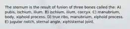 The sternum is the result of fusion of three bones called the: A) pubis, ischium, ilium. B) ischium, ilium, coccyx. C) manubrium, body, xiphoid process. D) true ribs, manubrium, xiphoid process. E) jugular notch, sternal angle, xiphisternal joint.