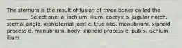 The sternum is the result of fusion of three bones called the ________. Select one: a. ischium, ilium, coccyx b. jugular notch, sternal angle, xiphisternal joint c. true ribs, manubrium, xiphoid process d. manubrium, body, xiphoid process e. pubis, ischium, ilium