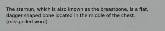 The sternun, which is also known as the breastbone, is a flat, dagger-shaped bone located in the middle of the chest. (misspelled word)