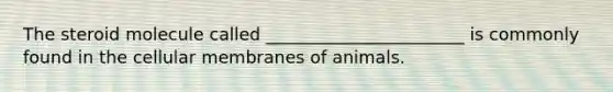 The steroid molecule called _______________________ is commonly found in the cellular membranes of animals.