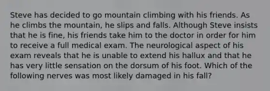 Steve has decided to go mountain climbing with his friends. As he climbs the mountain, he slips and falls. Although Steve insists that he is fine, his friends take him to the doctor in order for him to receive a full medical exam. The neurological aspect of his exam reveals that he is unable to extend his hallux and that he has very little sensation on the dorsum of his foot. Which of the following nerves was most likely damaged in his fall?