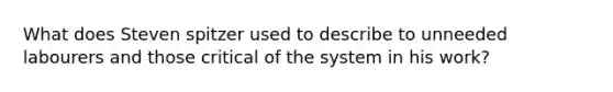 What does Steven spitzer used to describe to unneeded labourers and those critical of the system in his work?