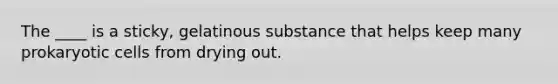 The ____ is a sticky, gelatinous substance that helps keep many prokaryotic cells from drying out.