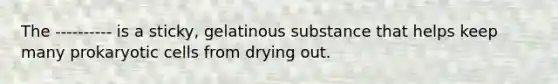 The ---------- is a sticky, gelatinous substance that helps keep many prokaryotic cells from drying out.