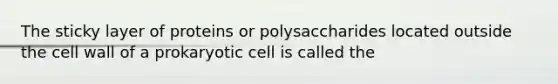 The sticky layer of proteins or polysaccharides located outside the cell wall of a prokaryotic cell is called the