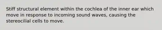 Stiff structural element within the cochlea of the inner ear which move in response to incoming sound waves, causing the stereocilial cells to move.