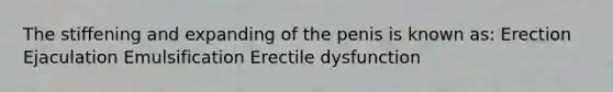 The stiffening and expanding of the penis is known as: Erection Ejaculation Emulsification Erectile dysfunction