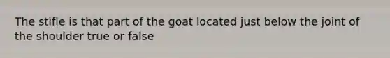 The stifle is that part of the goat located just below the joint of the shoulder true or false