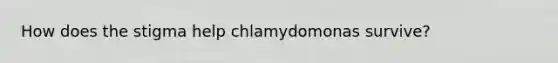 How does the stigma help chlamydomonas survive?