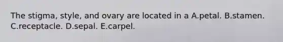 The stigma, style, and ovary are located in a A.petal. B.stamen. C.receptacle. D.sepal. E.carpel.