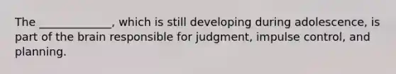 The _____________, which is still developing during adolescence, is part of the brain responsible for judgment, impulse control, and planning.