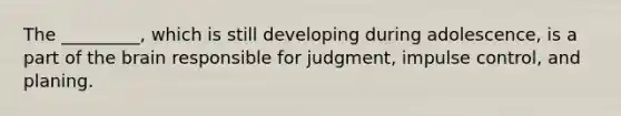 The _________, which is still developing during adolescence, is a part of the brain responsible for judgment, impulse control, and planing.