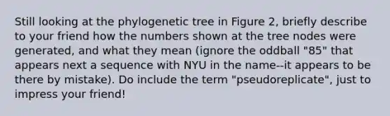 Still looking at the phylogenetic tree in Figure 2, briefly describe to your friend how the numbers shown at the tree nodes were generated, and what they mean (ignore the oddball "85" that appears next a sequence with NYU in the name--it appears to be there by mistake). Do include the term "pseudoreplicate", just to impress your friend!