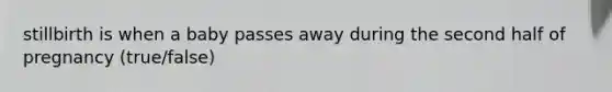stillbirth is when a baby passes away during the second half of pregnancy (true/false)