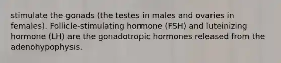 stimulate the gonads (the testes in males and ovaries in females). Follicle-stimulating hormone (FSH) and luteinizing hormone (LH) are the gonadotropic hormones released from the adenohypophysis.