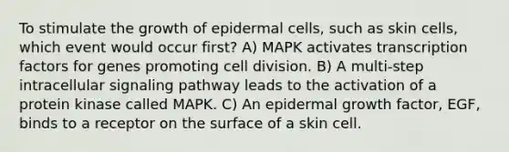 To stimulate the growth of epidermal cells, such as skin cells, which event would occur first? A) MAPK activates transcription factors for genes promoting cell division. B) A multi-step intracellular signaling pathway leads to the activation of a protein kinase called MAPK. C) An epidermal growth factor, EGF, binds to a receptor on the surface of a skin cell.