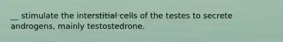 __ stimulate the interstitial cells of the testes to secrete androgens, mainly testostedrone.