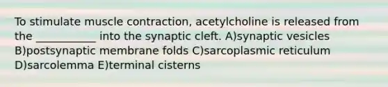 To stimulate muscle contraction, acetylcholine is released from the ___________ into the synaptic cleft. A)synaptic vesicles B)postsynaptic membrane folds C)sarcoplasmic reticulum D)sarcolemma E)terminal cisterns