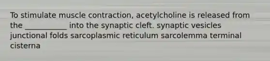 To stimulate muscle contraction, acetylcholine is released from the ___________ into the synaptic cleft. synaptic vesicles junctional folds sarcoplasmic reticulum sarcolemma terminal cisterna