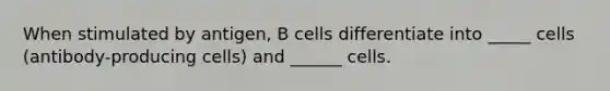 When stimulated by antigen, B cells differentiate into _____ cells (antibody-producing cells) and ______ cells.